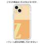 Premium Panel［ Original - initial two tone - Z orange ］
