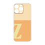 Premium Panel［ Original - initial two tone - Z orange ］
