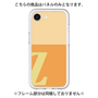 Premium Panel［ Original - initial two tone - Z orange ］