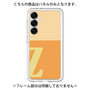 Premium Panel［ Original - initial two tone - Z orange ］