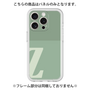 Premium Panel［ Original - initial two tone - Z green ］