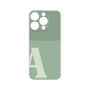 Premium Panel［ Original - initial two tone - A green ］