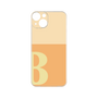 Premium Panel［ Original - initial two tone - B orange ］