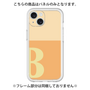 Premium Panel［ Original - initial two tone - B orange ］