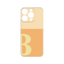 Premium Panel［ Original - initial two tone - B orange ］