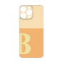 Premium Panel［ Original - initial two tone - B orange ］