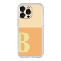 Premium Panel［ Original - initial two tone - B orange ］