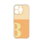 Premium Panel［ Original - initial two tone - B orange ］
