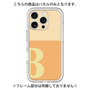 Premium Panel［ Original - initial two tone - B orange ］