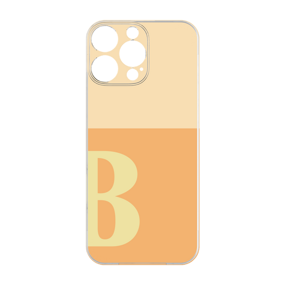 Premium Panel［ Original - initial two tone - B orange ］