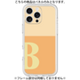 Premium Panel［ Original - initial two tone - B orange ］