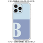 Premium Panel［ Original - initial two tone - B blue ］