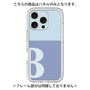 Premium Panel［ Original - initial two tone - B blue ］