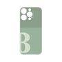 Premium Panel［ Original - initial two tone - B green ］
