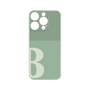 Premium Panel［ Original - initial two tone - B green ］