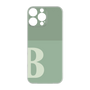 Premium Panel［ Original - initial two tone - B green ］