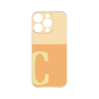 Premium Panel［ Original - initial two tone - C orange ］