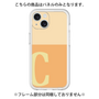 Premium Panel［ Original - initial two tone - C orange ］