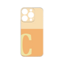 Premium Panel［ Original - initial two tone - C orange ］