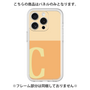 Premium Panel［ Original - initial two tone - C orange ］