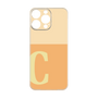 Premium Panel［ Original - initial two tone - C orange ］