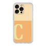 Premium Panel［ Original - initial two tone - C orange ］