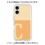 Premium Panel［ Original - initial two tone - C orange ］