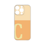 Premium Panel［ Original - initial two tone - C orange ］