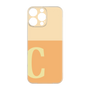 Premium Panel［ Original - initial two tone - C orange ］
