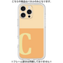 Premium Panel［ Original - initial two tone - C orange ］