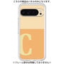 Premium Panel［ Original - initial two tone - C orange ］