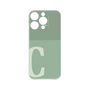 Premium Panel［ Original - initial two tone - C green ］
