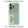 Premium Panel［ Original - initial two tone - C green ］
