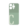 Premium Panel［ Original - initial two tone - C green ］