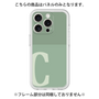 Premium Panel［ Original - initial two tone - C green ］