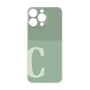Premium Panel［ Original - initial two tone - C green ］