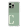 Premium Panel［ Original - initial two tone - C green ］