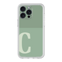 Premium Panel［ Original - initial two tone - C green ］