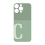 Premium Panel［ Original - initial two tone - C green ］