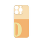 Premium Panel［ Original - initial two tone - D orange ］