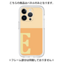 Premium Panel［ Original - initial two tone - E orange ］