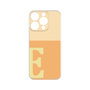 Premium Panel［ Original - initial two tone - E orange ］