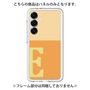 Premium Panel［ Original - initial two tone - E orange ］