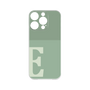 Premium Panel［ Original - initial two tone - E green ］