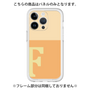 Premium Panel［ Original - initial two tone - F orange ］