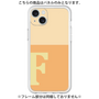 Premium Panel［ Original - initial two tone - F orange ］