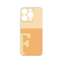 Premium Panel［ Original - initial two tone - F orange ］
