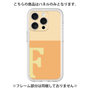 Premium Panel［ Original - initial two tone - F orange ］