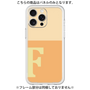 Premium Panel［ Original - initial two tone - F orange ］