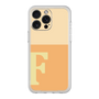 Premium Panel［ Original - initial two tone - F orange ］